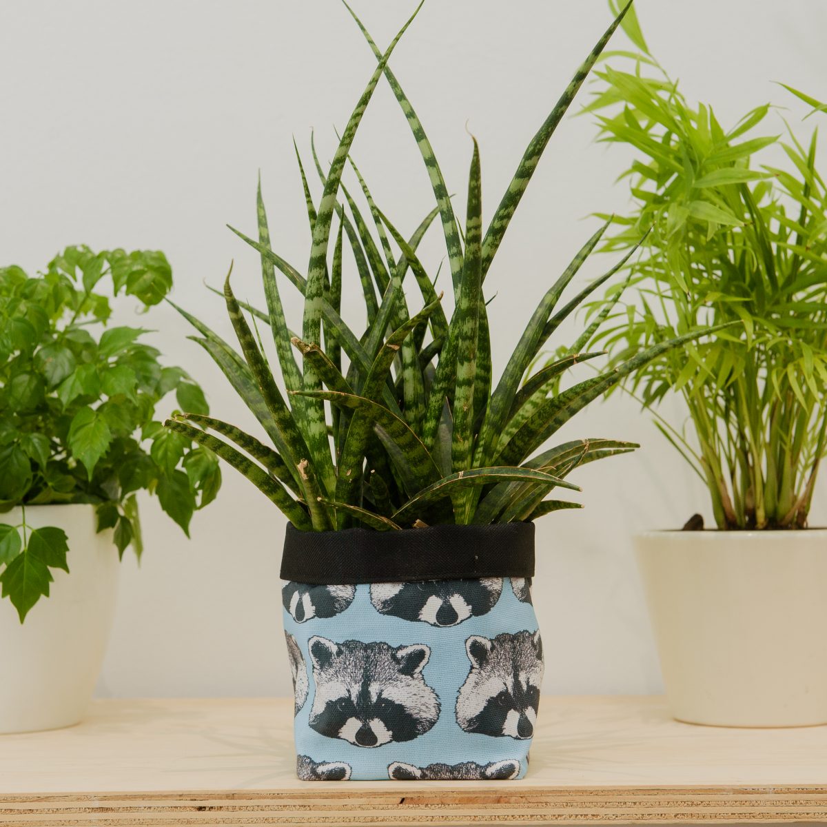 thoughtful gifts for mum Raccoon Print Textile Plant Pot