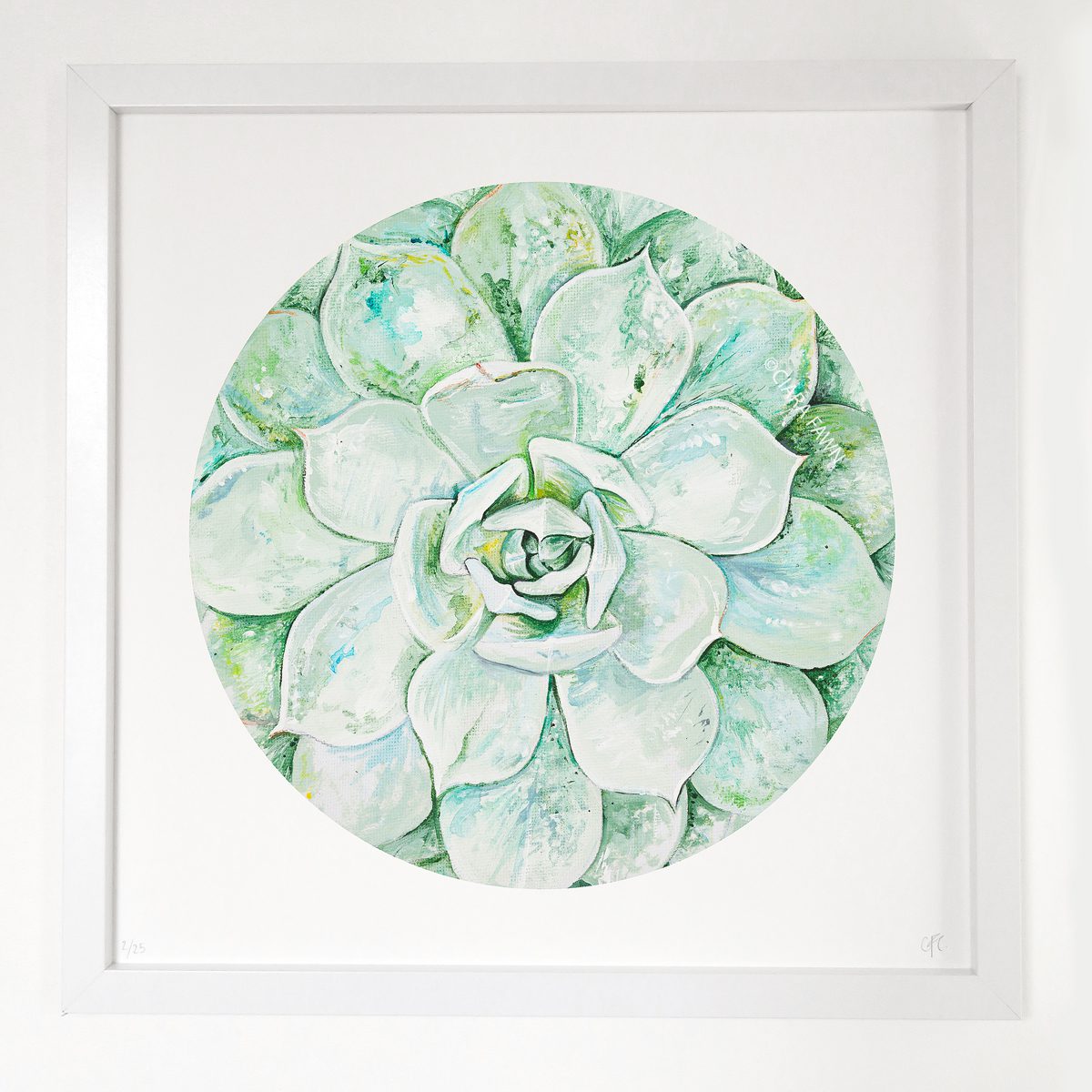 Green Succulent Limited Edition Print