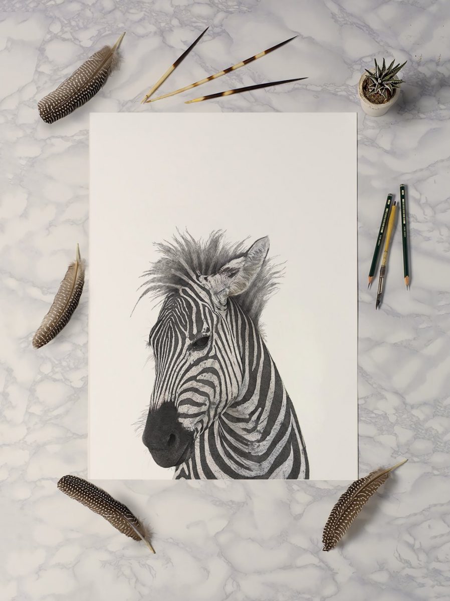 Zebra - Art Print