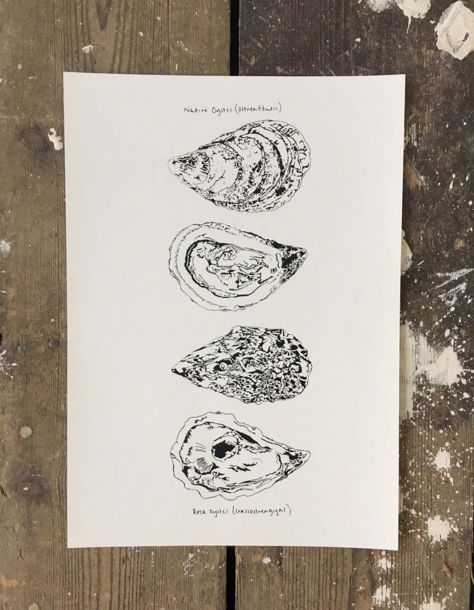 A4 Oyster print