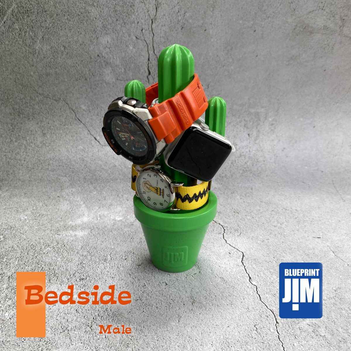 Cactijim - Cactus desk tidy