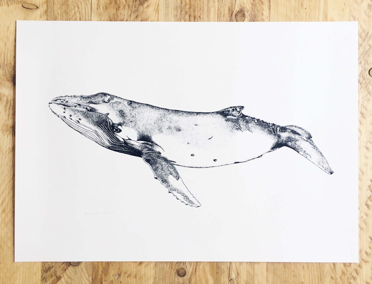 Large Humpback Whale Screen Print