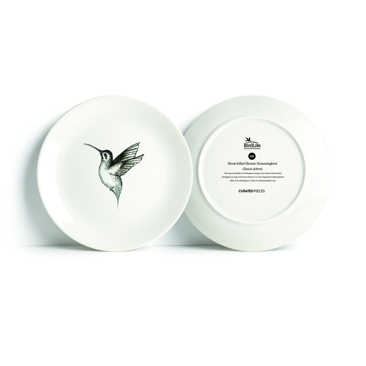 Hummingbird in flight Plate - The BirdLife Collection