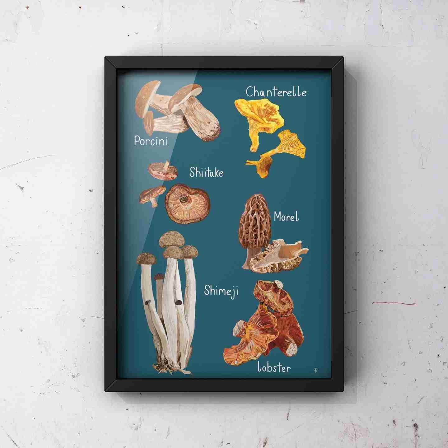 A Selection of Mushrooms Art Print