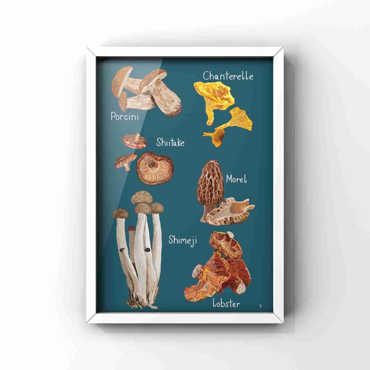 A Selection of Mushrooms Art Print