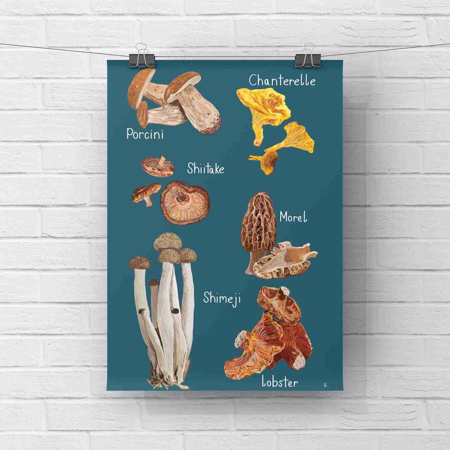 A Selection of Mushrooms Art Print