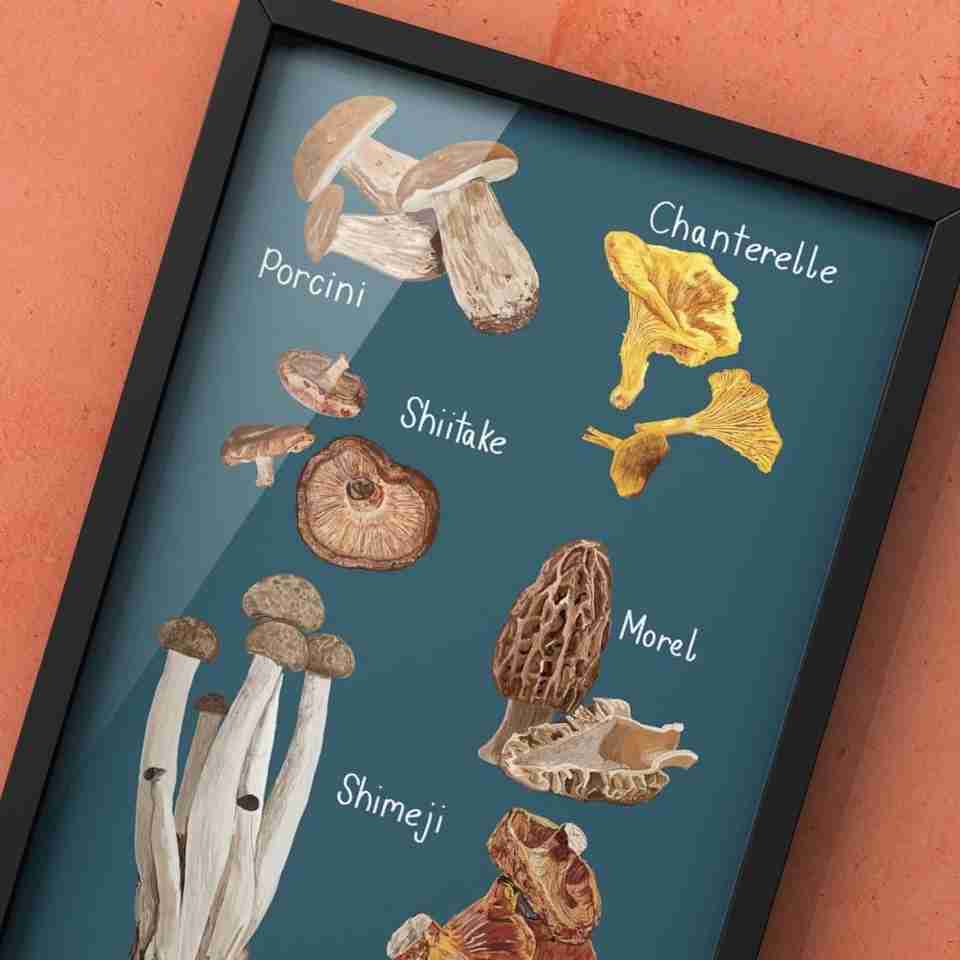 A Selection of Mushrooms Art Print