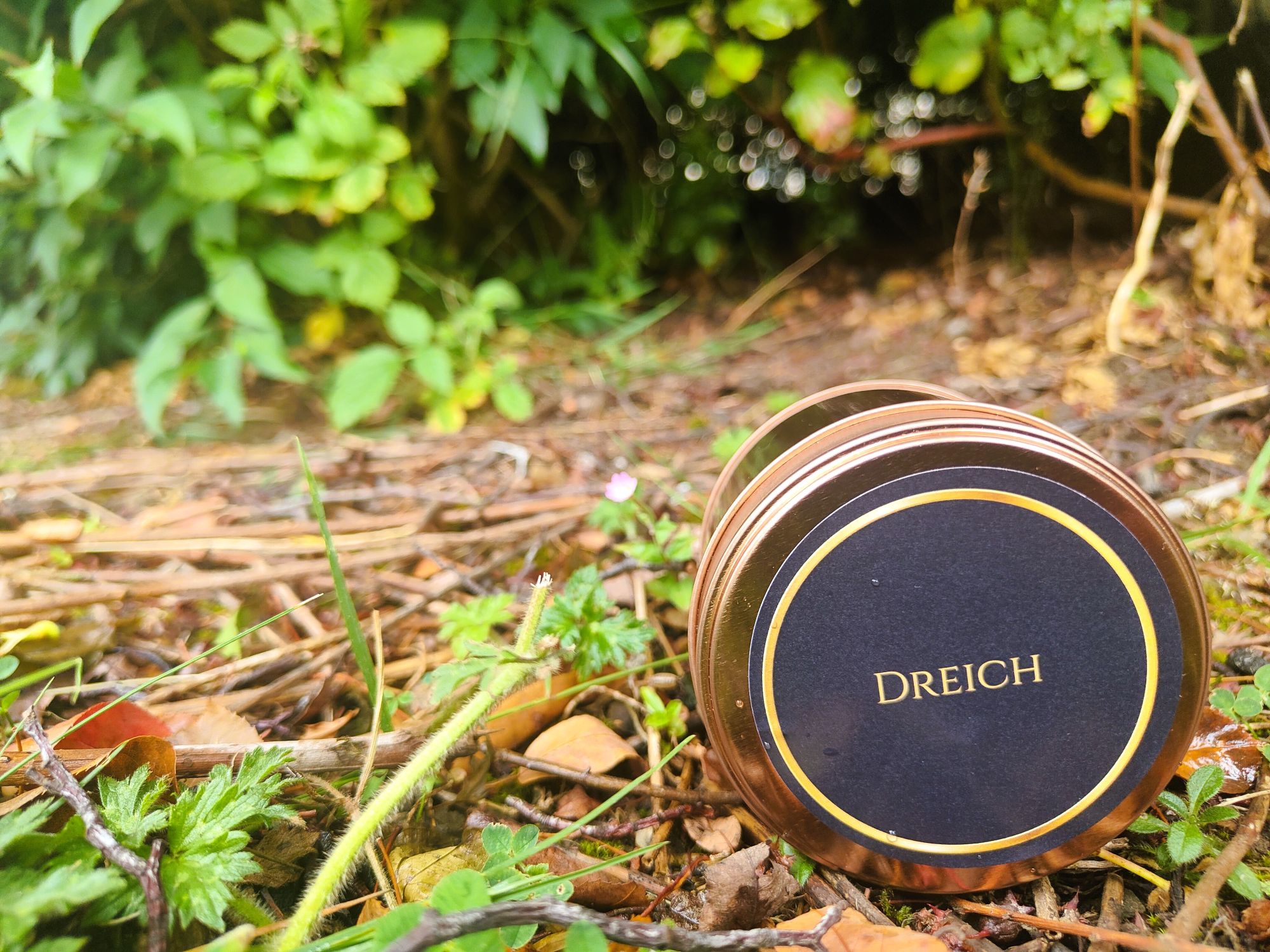 Dreich scented candle capturing the fresh, earthy scent of a rain-soaked forest by Bonnie Glow