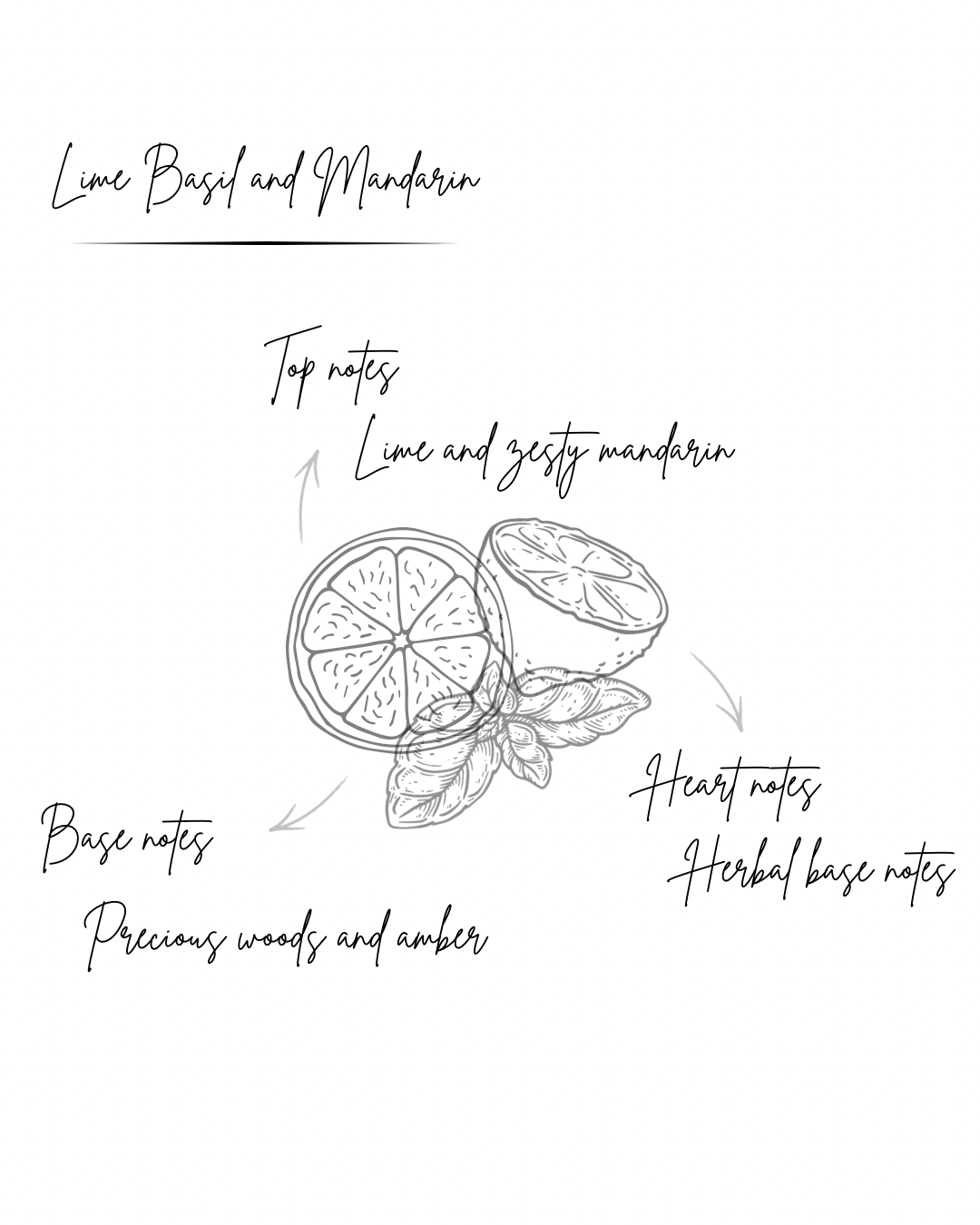 Lime, Basil and Mandarin 200ml Reed Diffuser