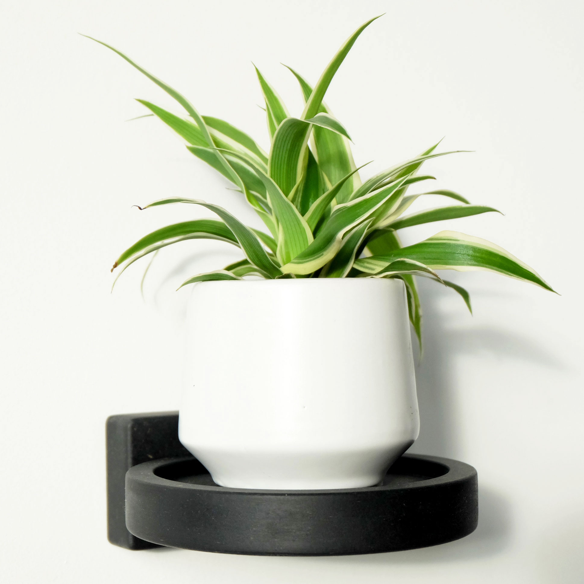 Handmade wooden plant or collectible shelf