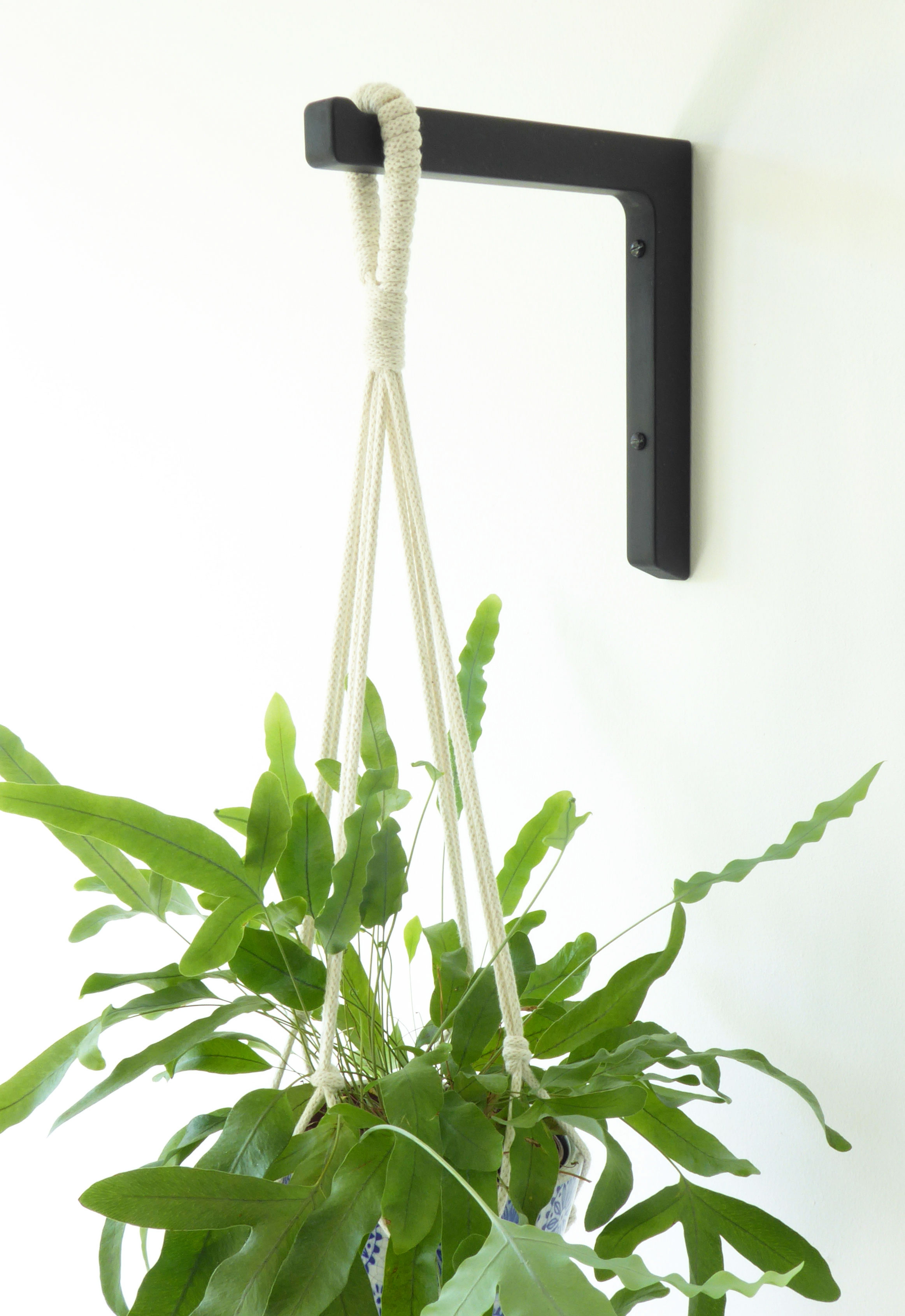 Wooden wall hook for hanging houseplant - black or sage