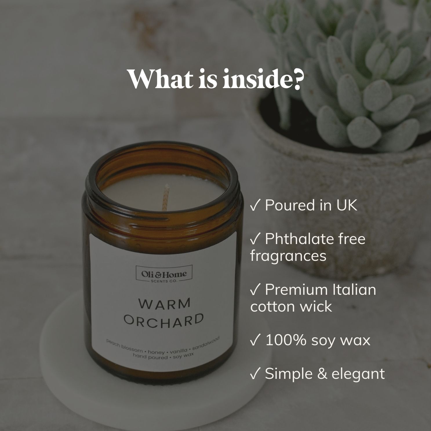 Warm Orchard Soy Candle - Peach Blossom, Honey and Vanilla